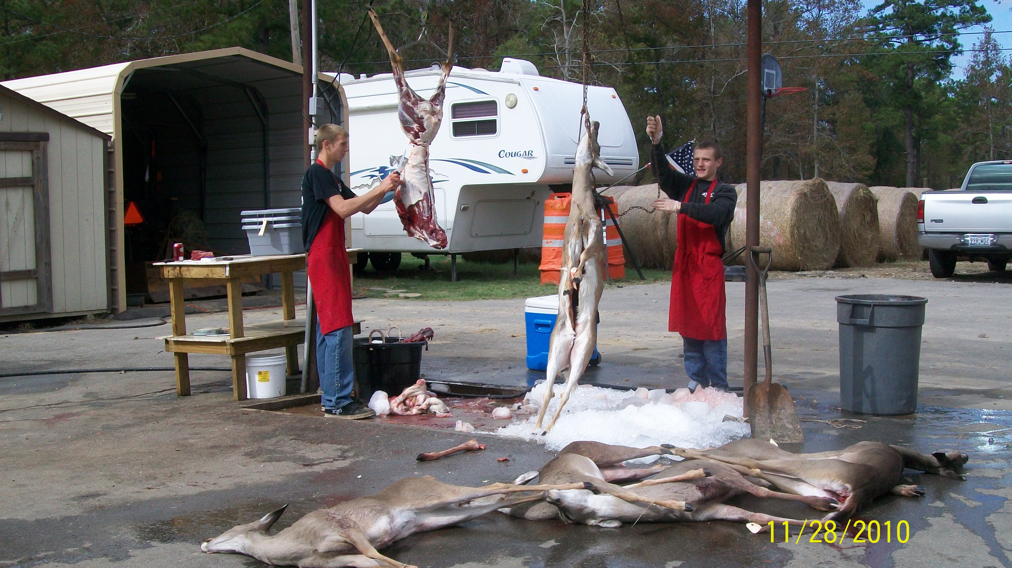Links Jackson's Deer Processing Crosby Texas Sausage Hogs Exotic Houston