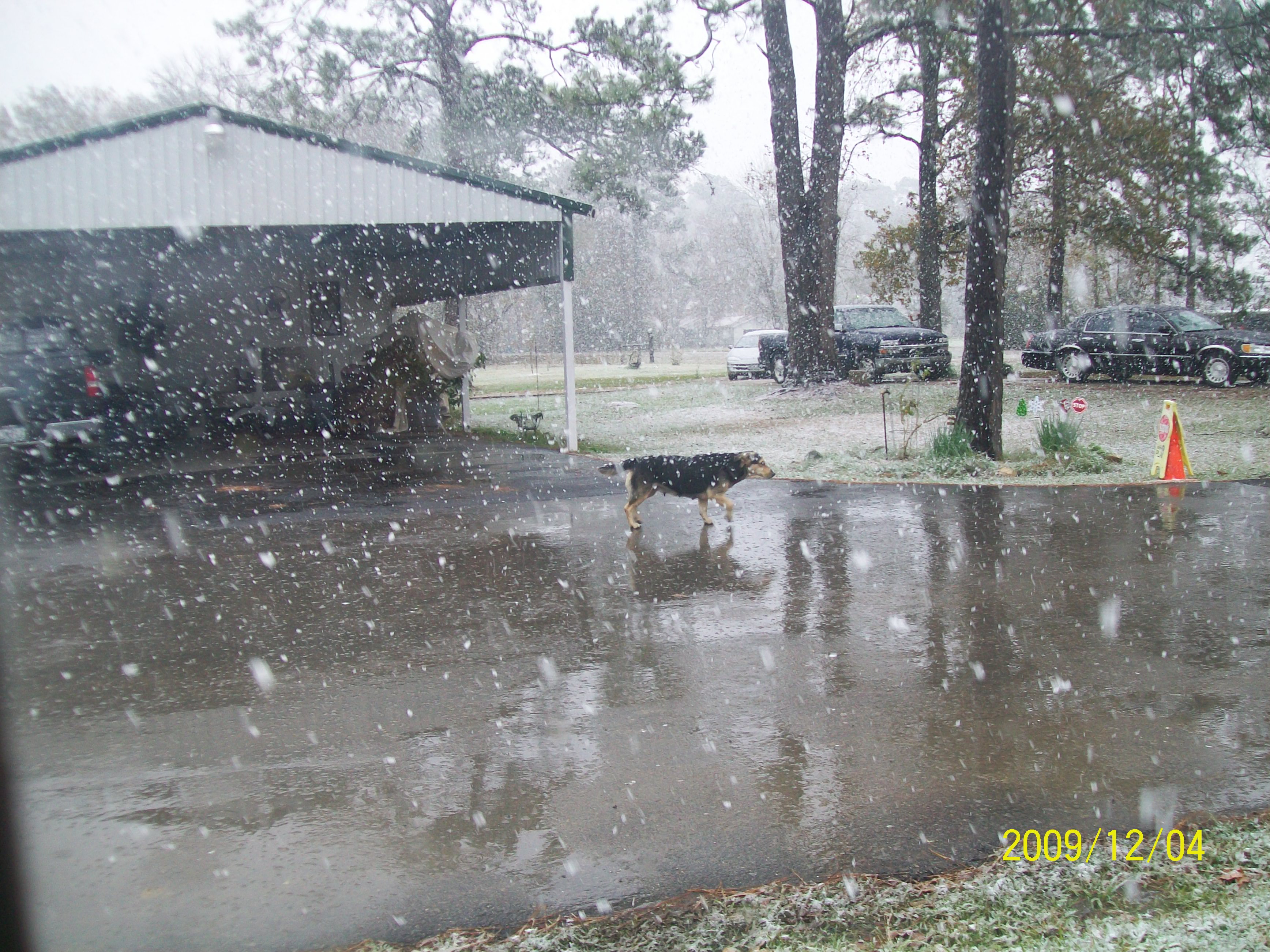 Links Jackson's Deer Processing Crosby Texas Sausage Hogs Exotic Houston