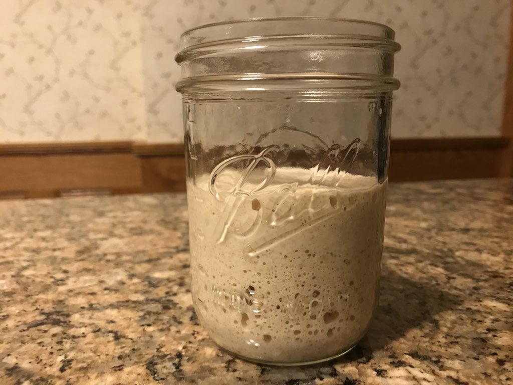 Beginners Guide How to Make Yeast with Minimal Flour Jacksons Job