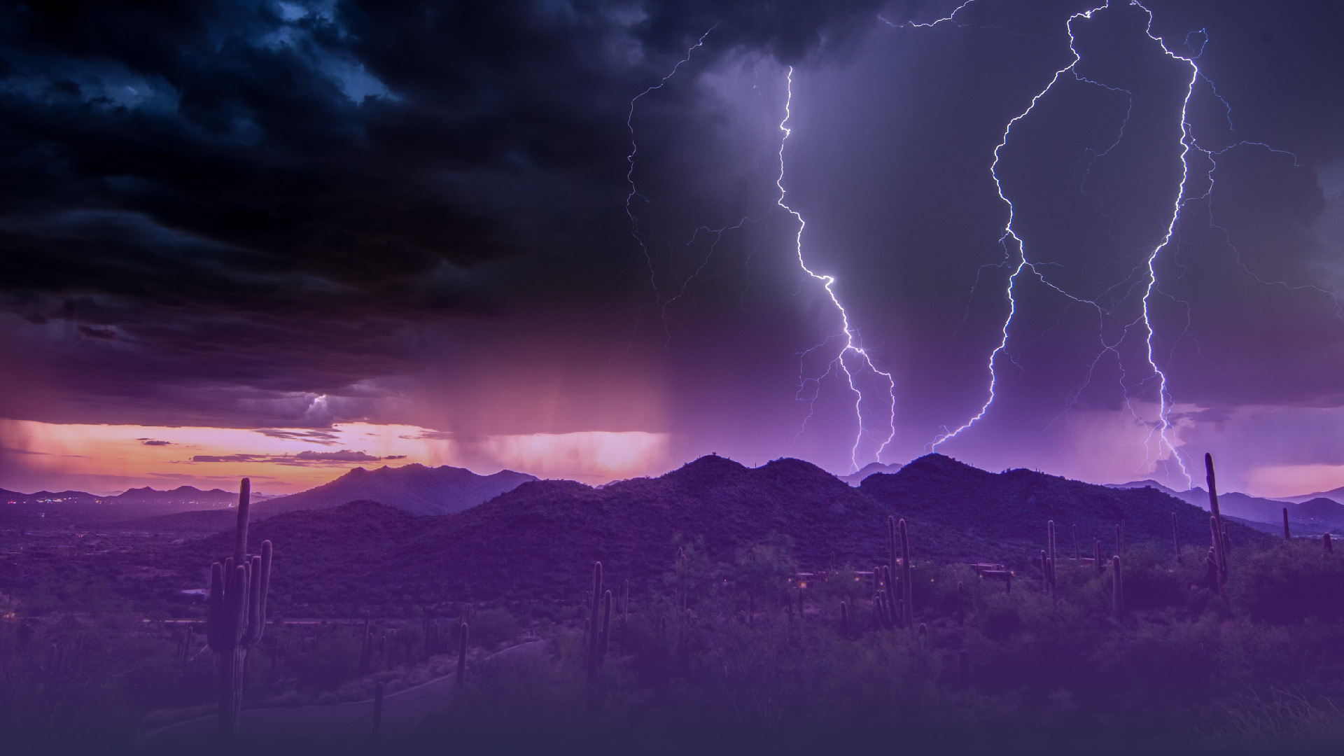 Home Jacksons Carwash