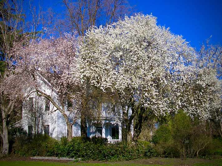 Focus on Hanley Farm, May 2019 by Pam Sasseen Jacksonville Review