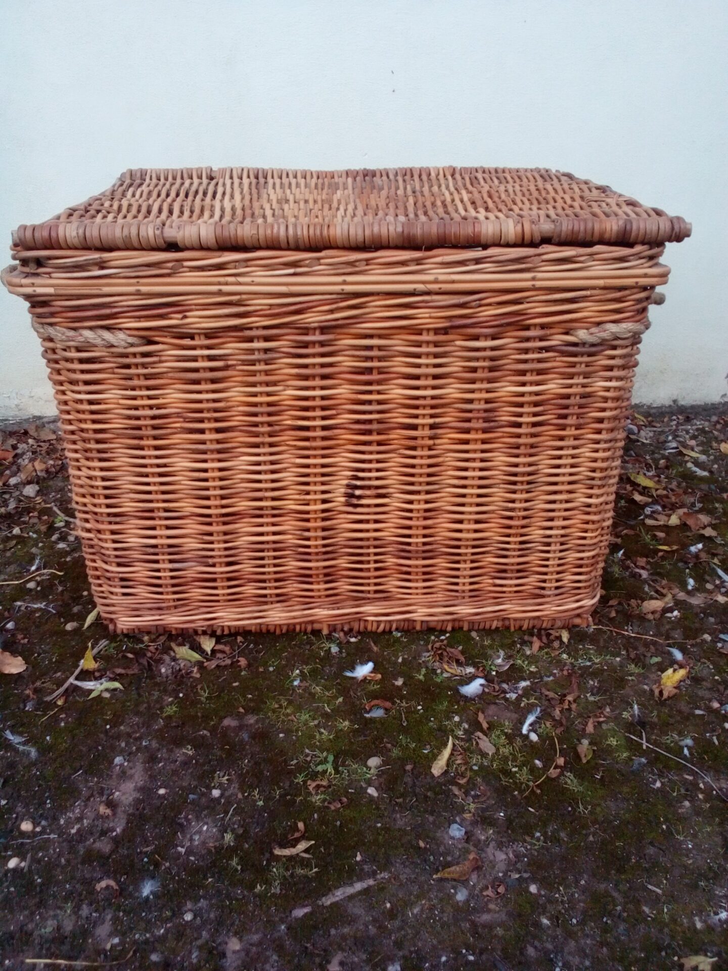 Cyber Sale Large Rattan Baskets Jack Straws Baskets