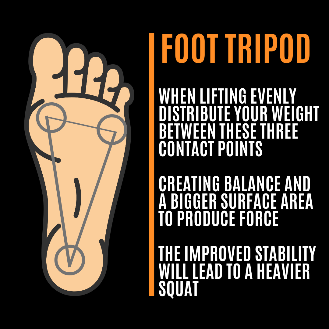 The Foot Tripod how you can immediately improve your squat