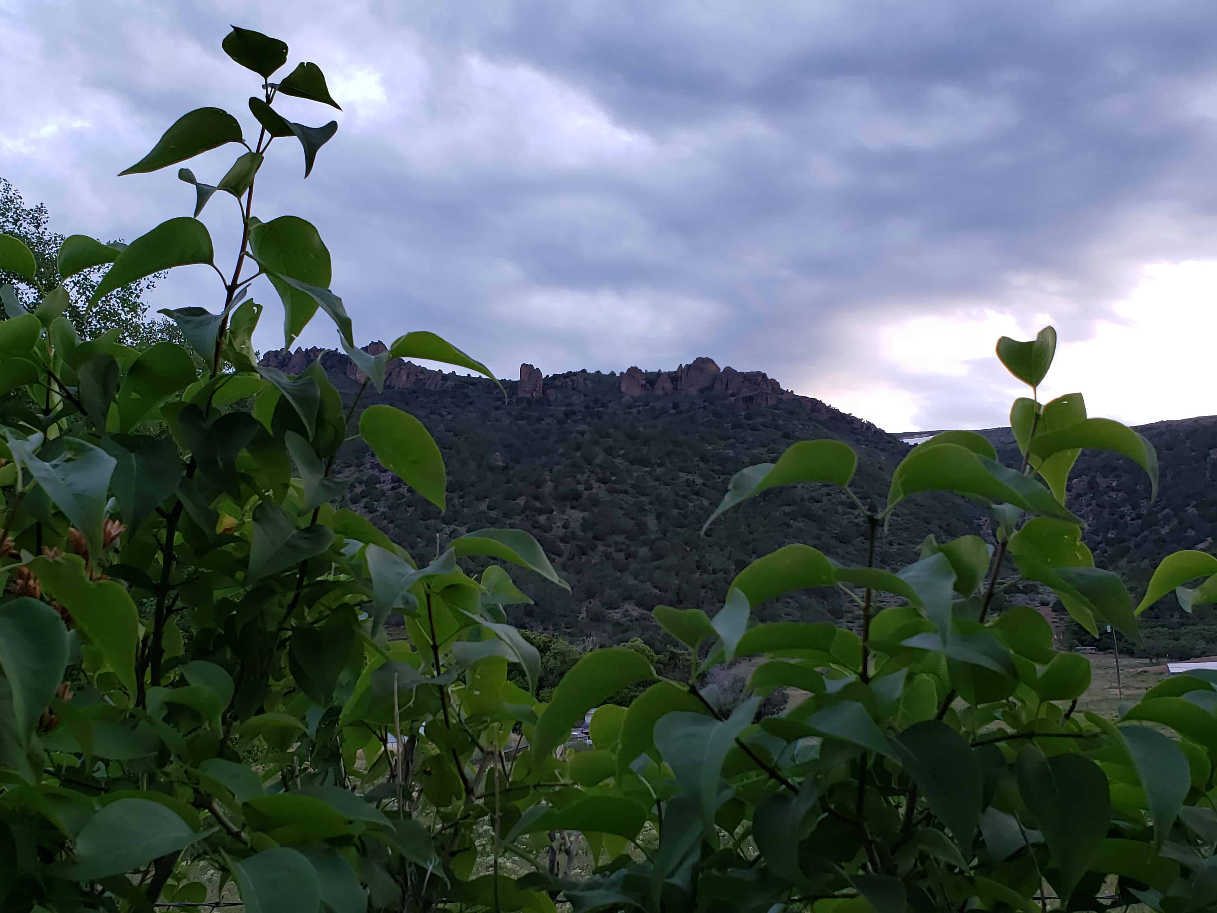 Freedom, Utah