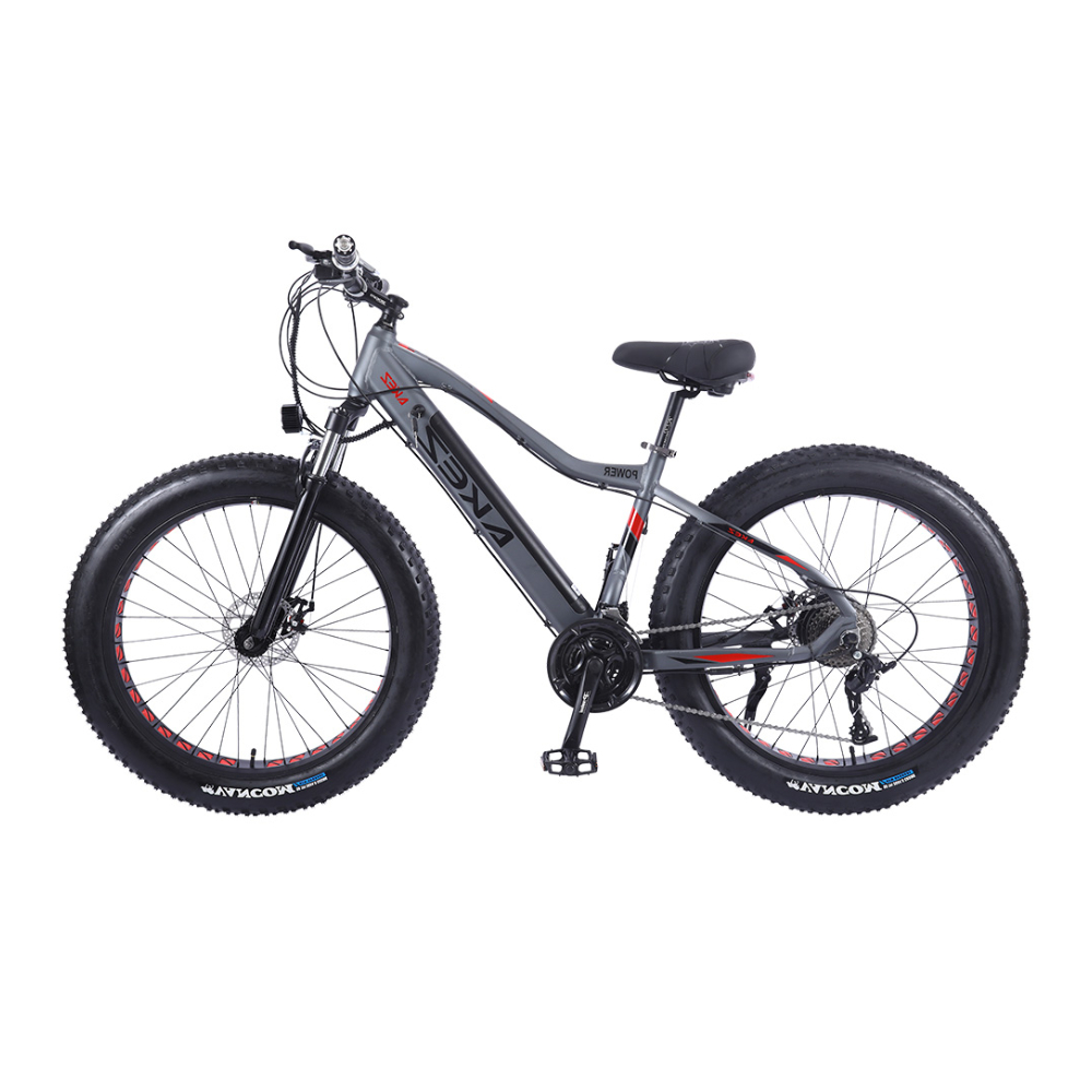 AKEZ Cruiser Electric Bicycle Toronto's Best Online Bike Shop Uncle