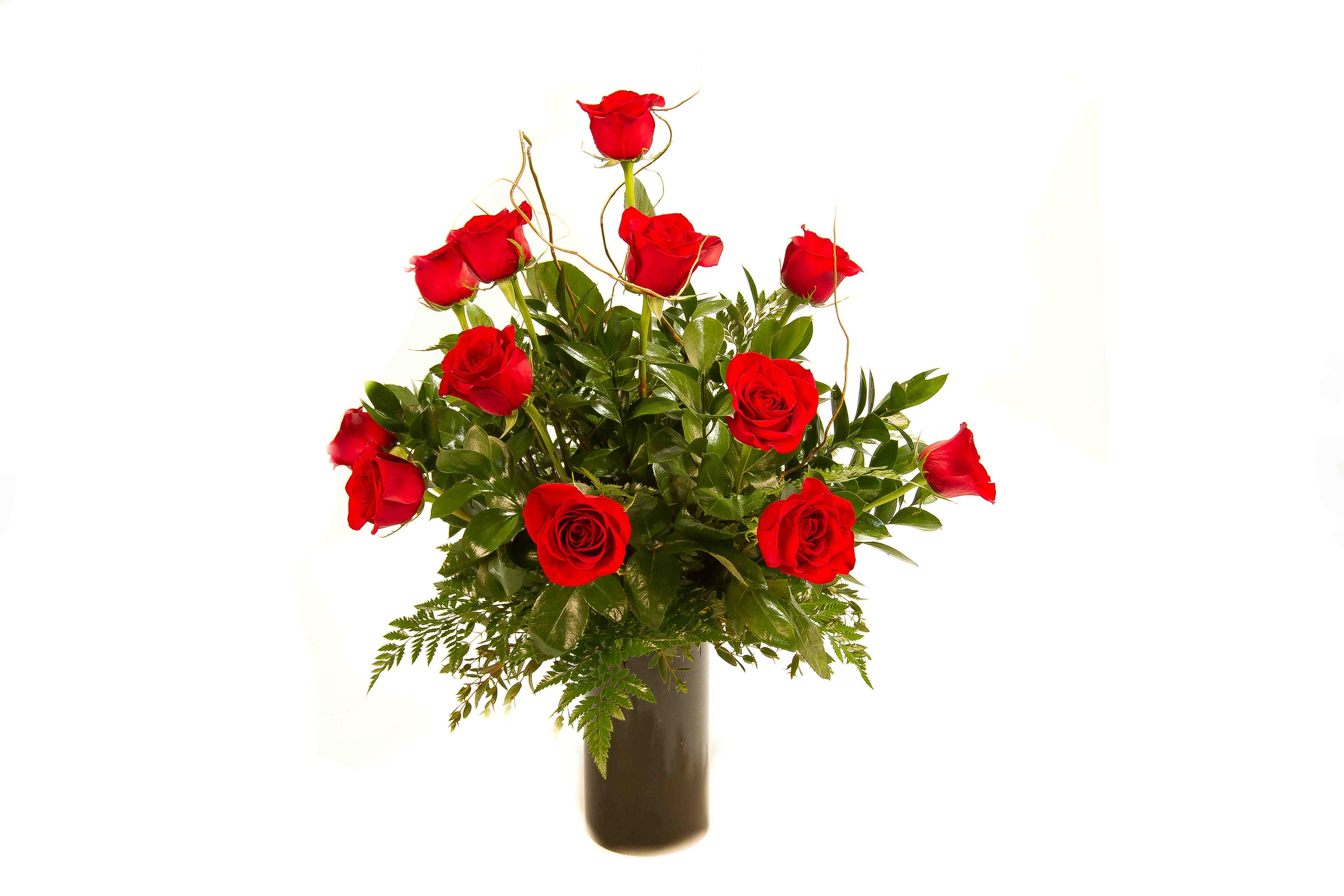 Dozen Roses Jacobsen's Flowers & Gift Baskets