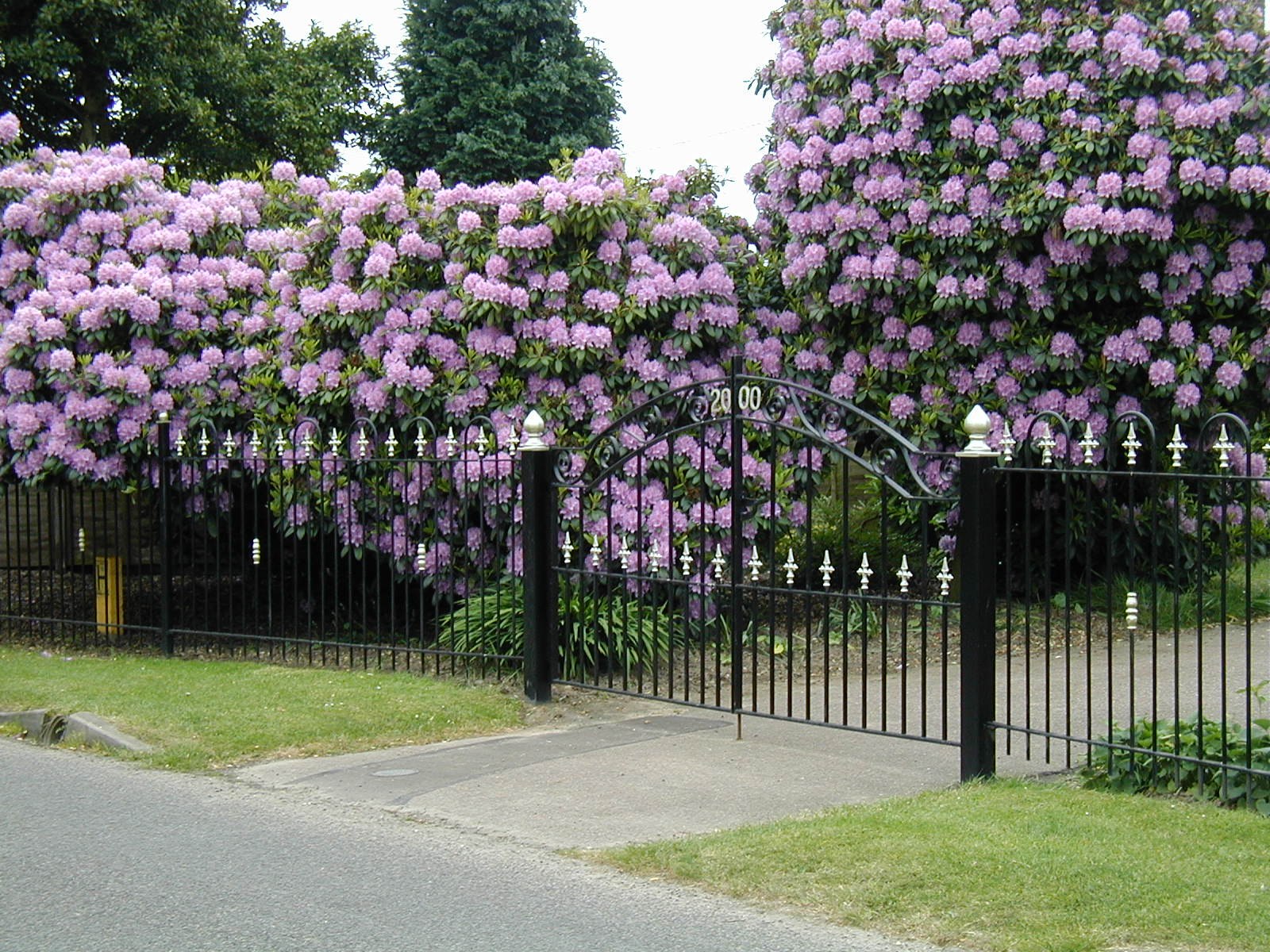 Gates and railings E Jacobs & Sons