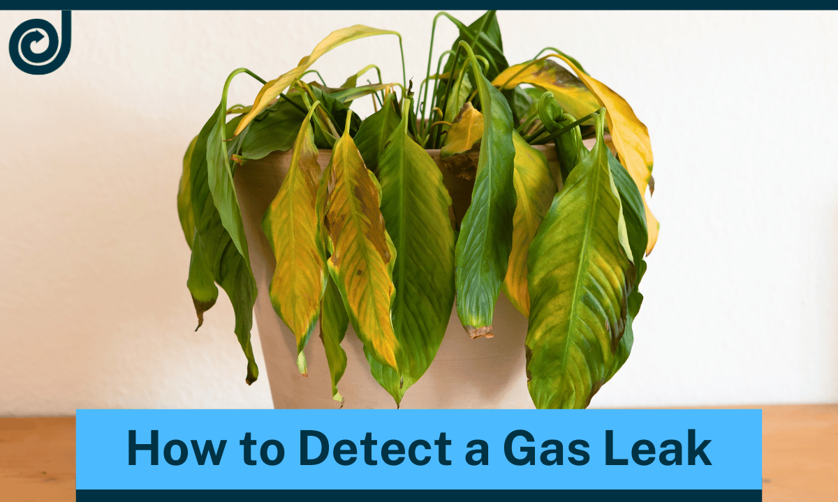 What Every Homeowner Should Know About Detecting Gas Leaks Jacobs