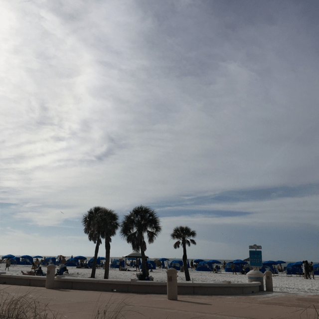 Clearwater aquarium 06 Jacob's note