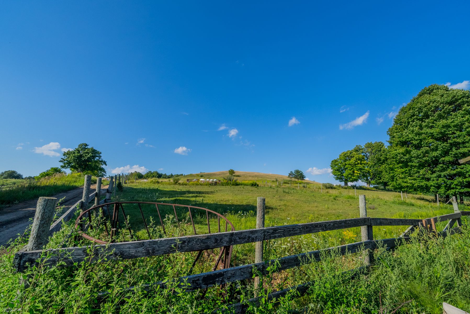 Homes for Sale in Northumberland County Ontario Jacqueline Pennington