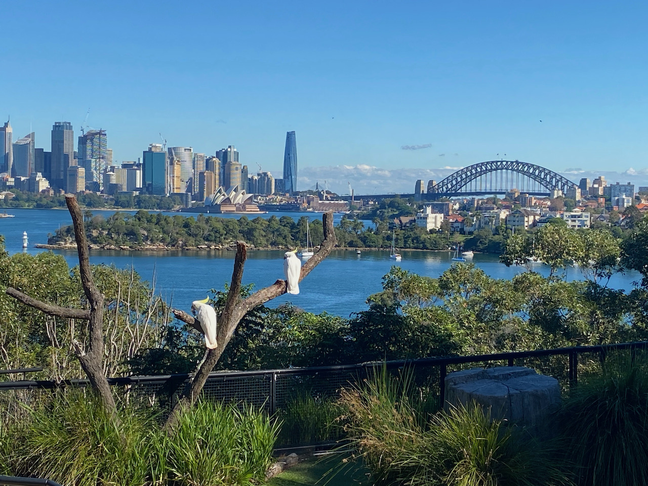 A Day at Taronga Zoo Jade & Greg Travel