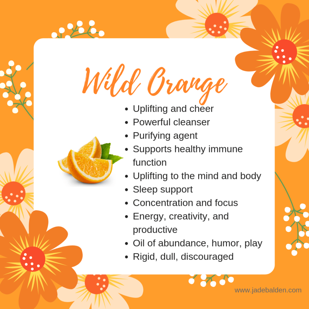 Wild Orange | Jade Balden