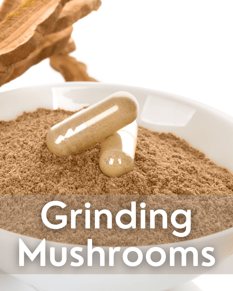 Grinding Mushroom Tips Jaden Rae