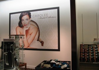 Window and Wall - Carolee