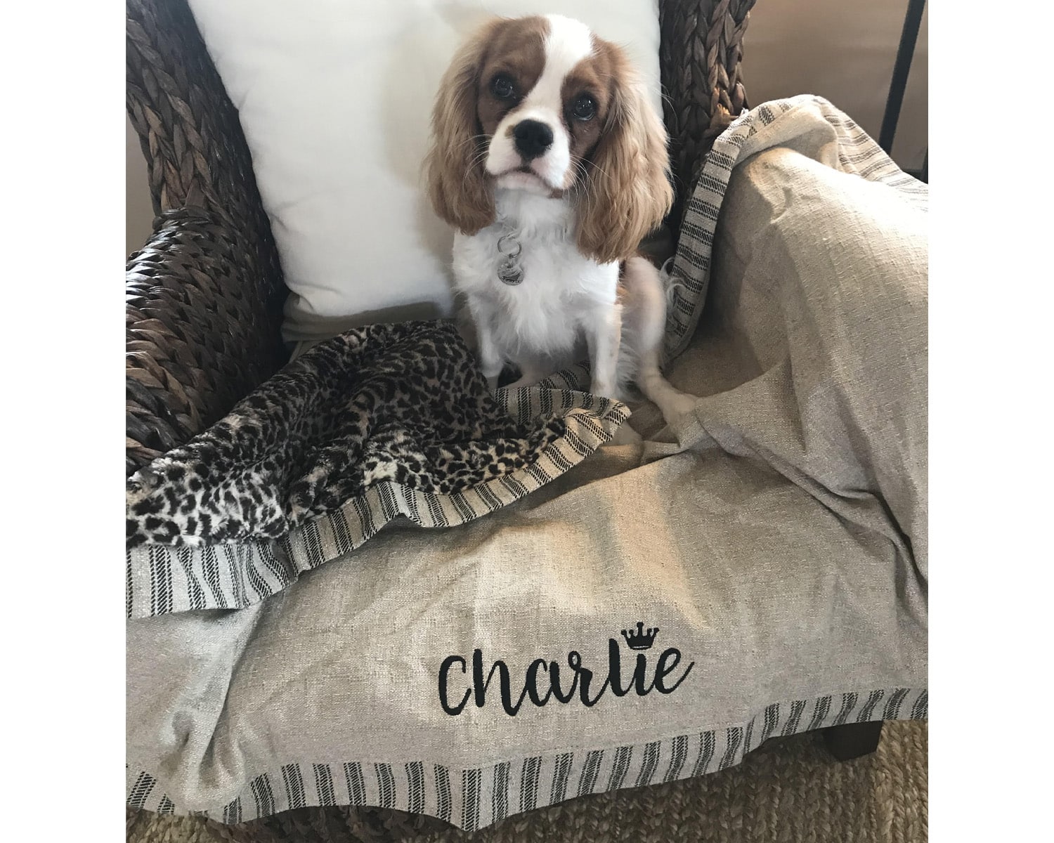 Blanket J'adore Custom Pet Beds