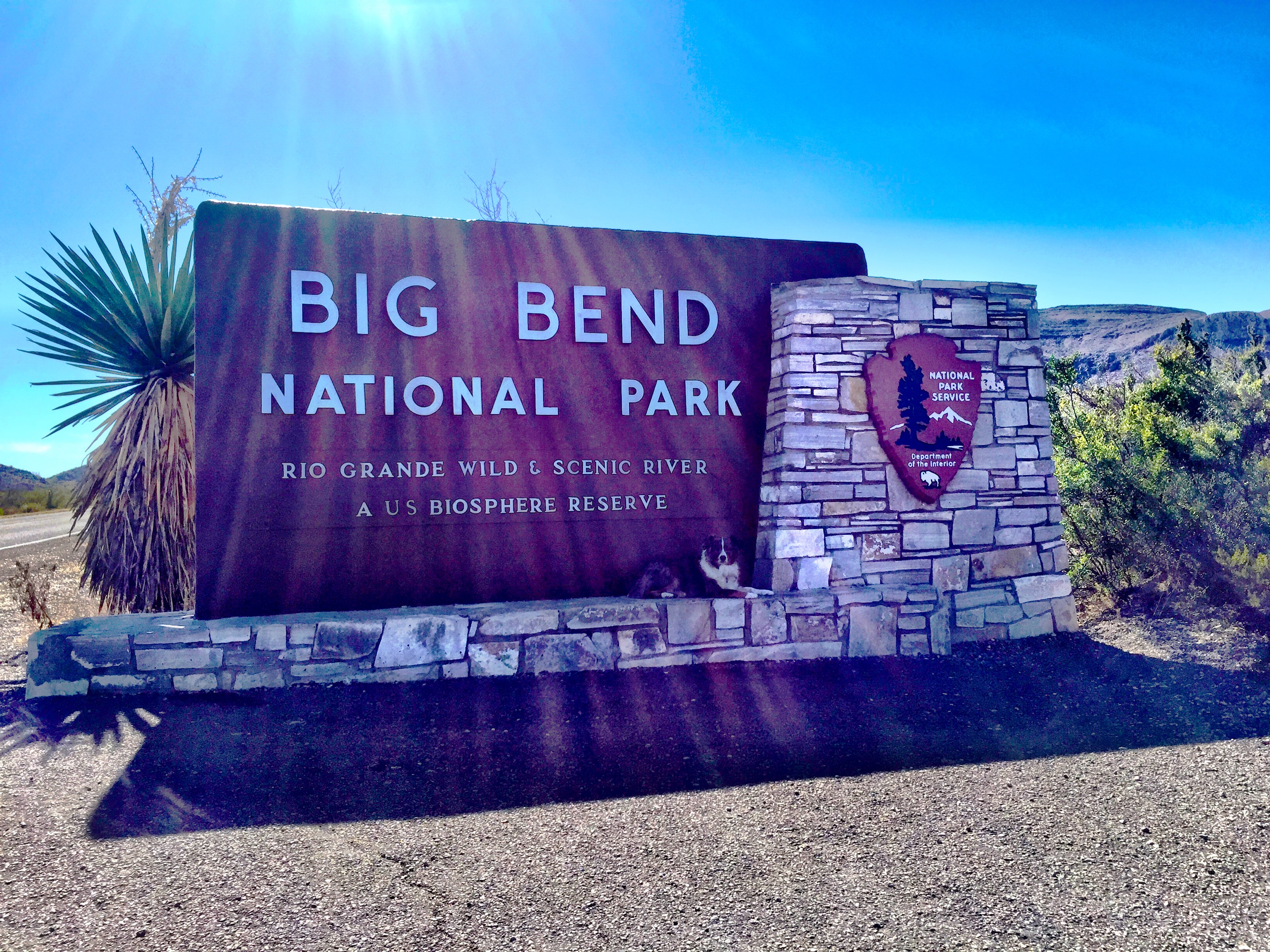 Are Dogs Allowed At Big Bend