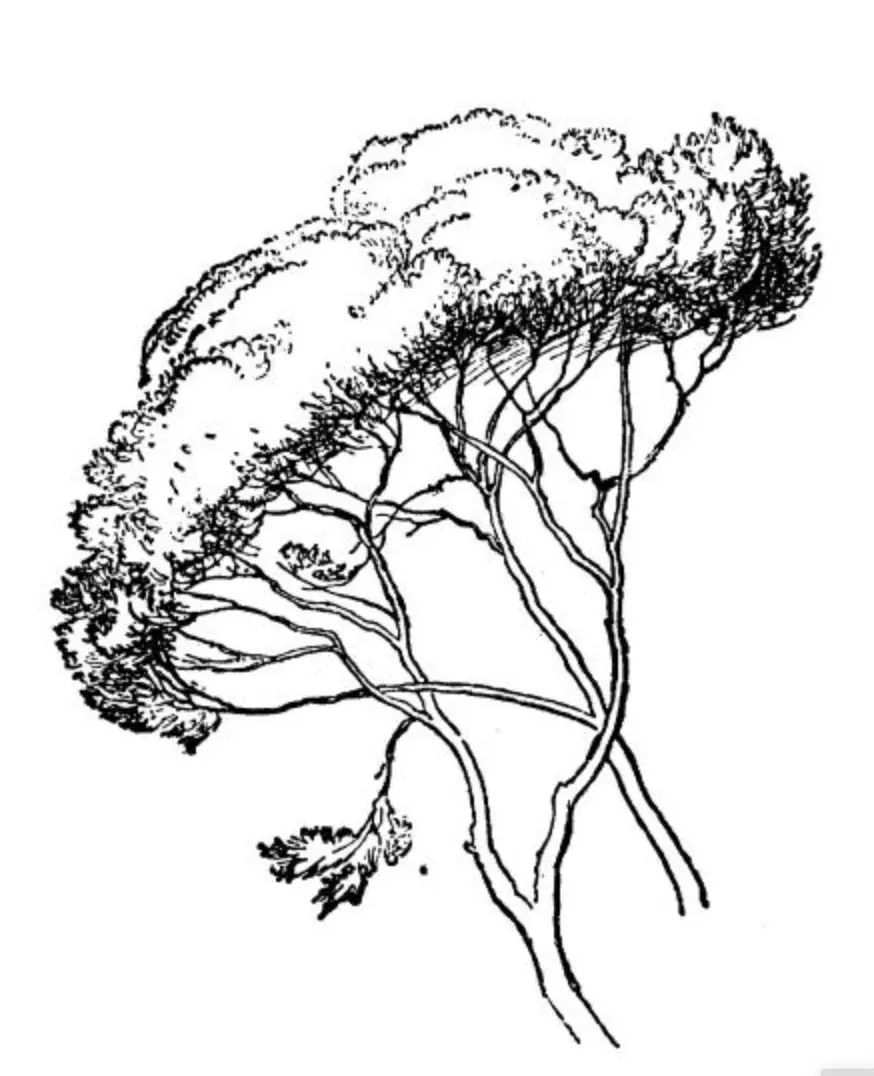 40 Best Free Drawing Books Jae Johns