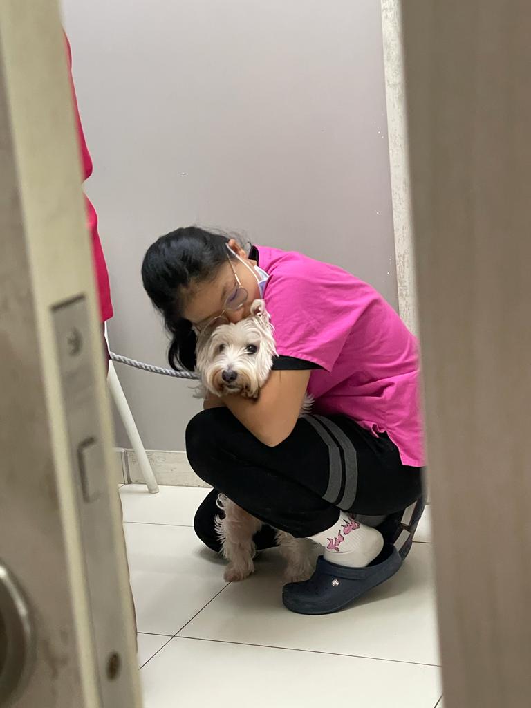 one of the motivations to be a vet is being patient with animals!