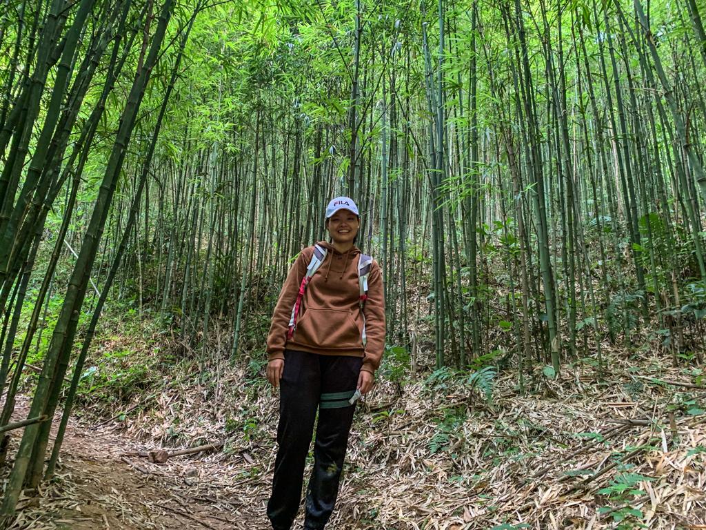 budget travel itinerary - passing by a bamboo forest during hike at Sapa