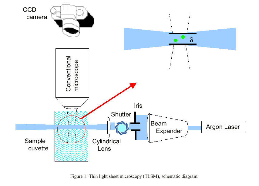 Thin Laser Sheet Microscopy Jaffe Laboratory for Underwater Imaging
