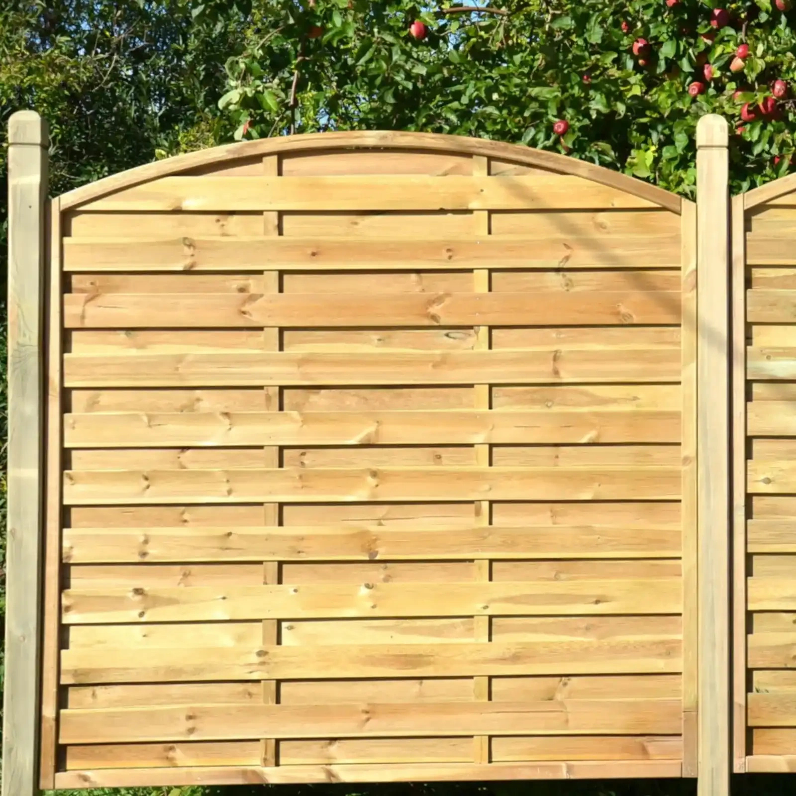 Malvern Panel & Gate Malvern Panel h160/180/160 x 180 cm Fencing