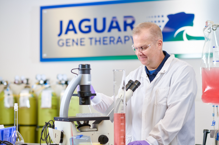 Jaguar Gene Therapy Accelerating breakthroughs in gene therapy.