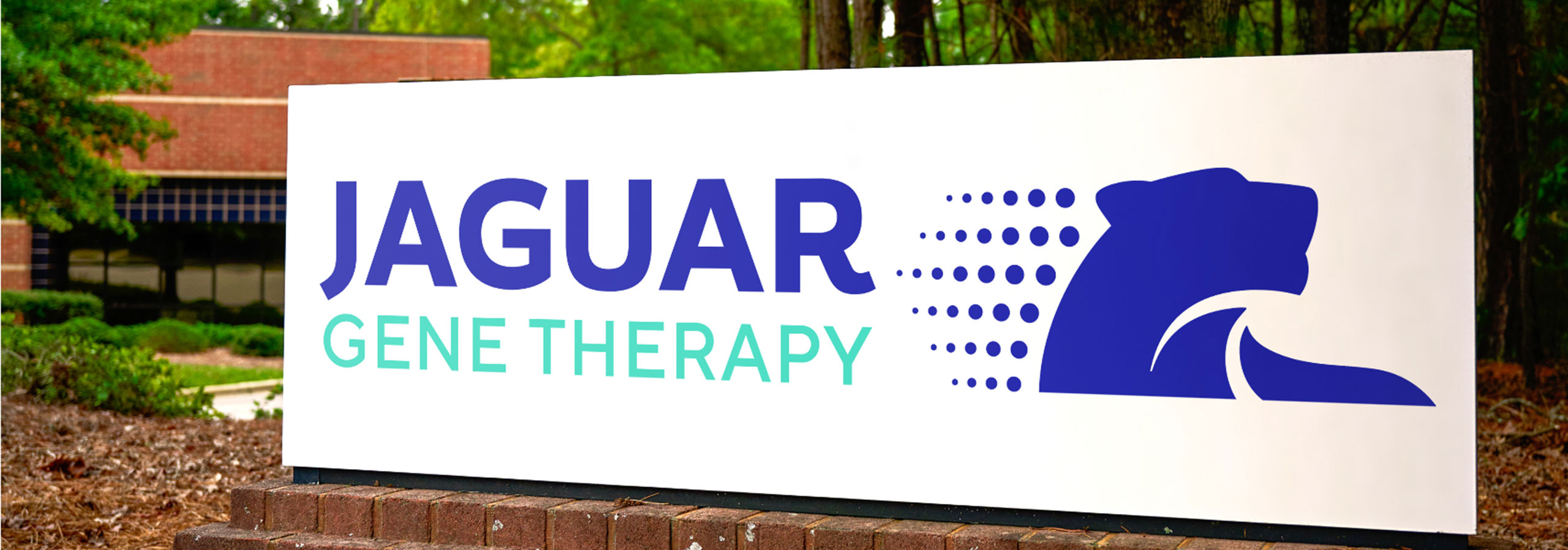 contact_header_v3 Jaguar Gene Therapy