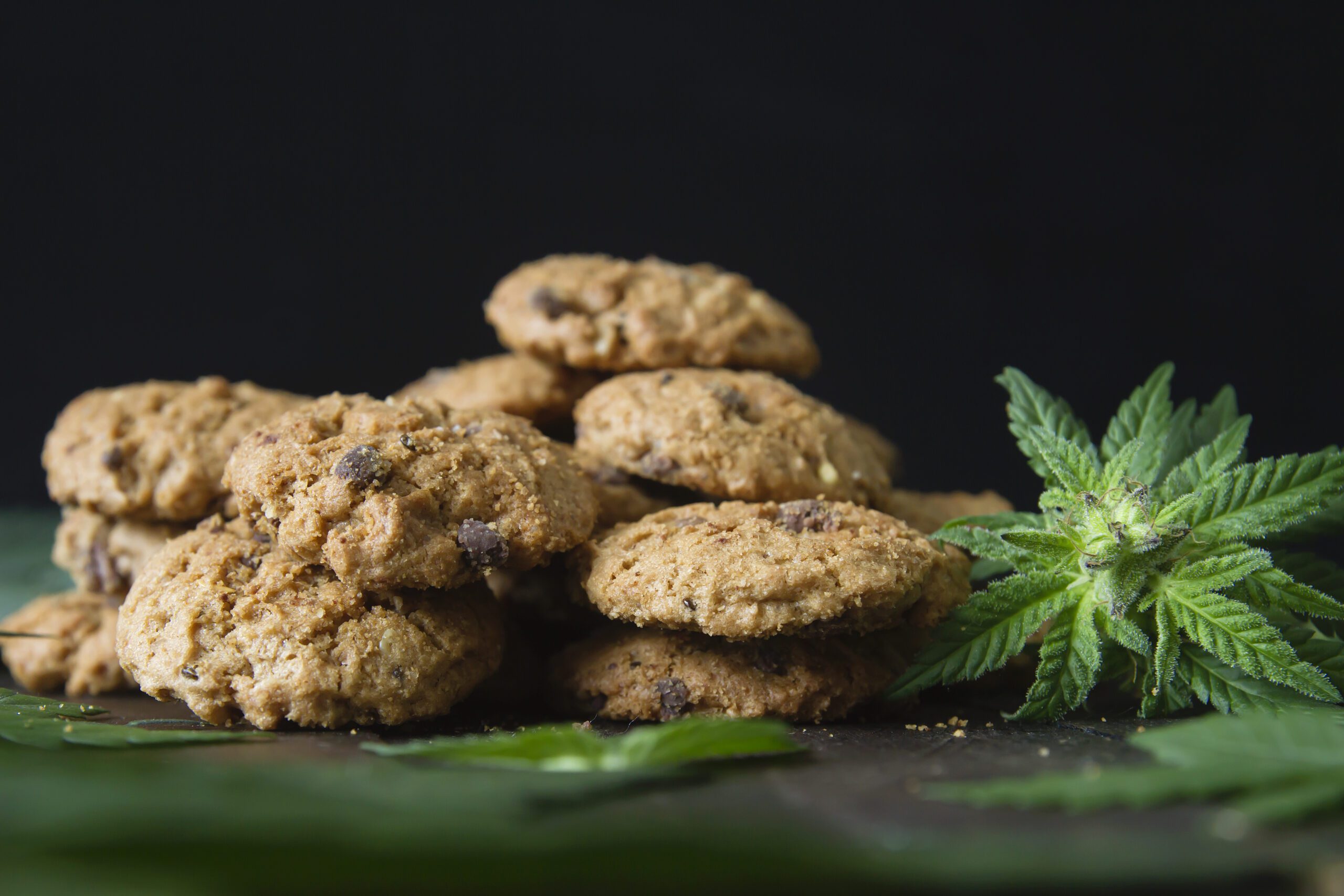 Mancelona, MI › Jailhouse Cannabis Co.