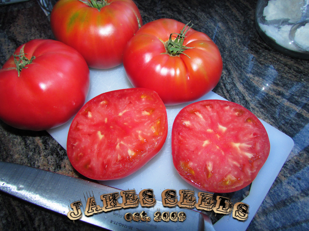 Cuostralee French Heirloom Tomato Jake's Seeds