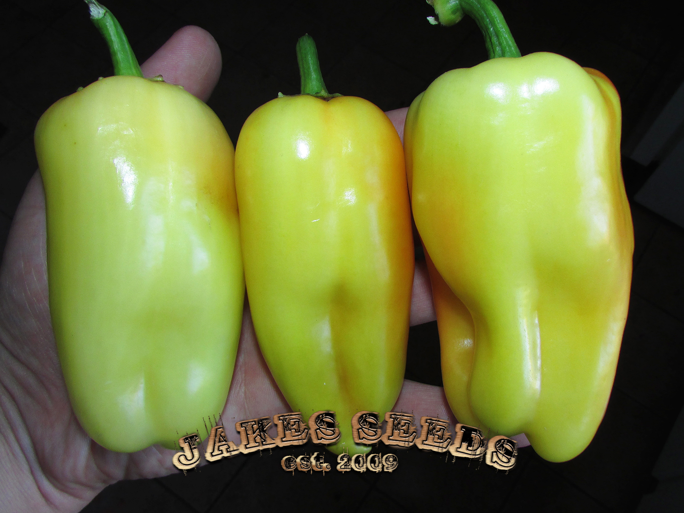 Gypsy Pepper Seeds (Sweet) Jake's Seeds