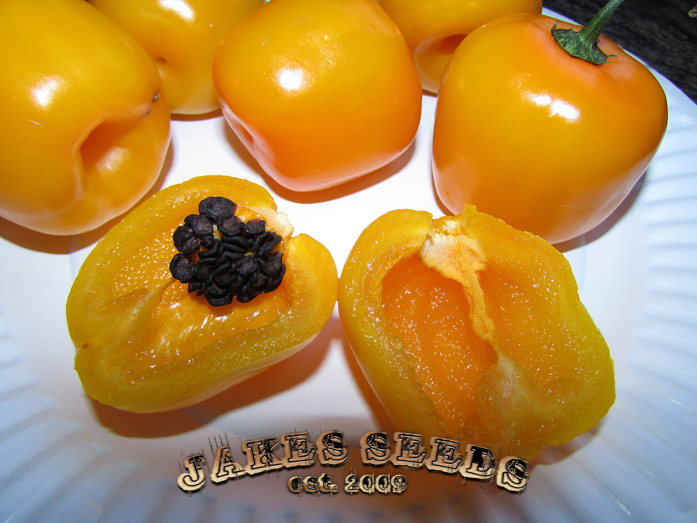 Manzano Yellow Pepper Seeds (Hot) Jake's Seeds