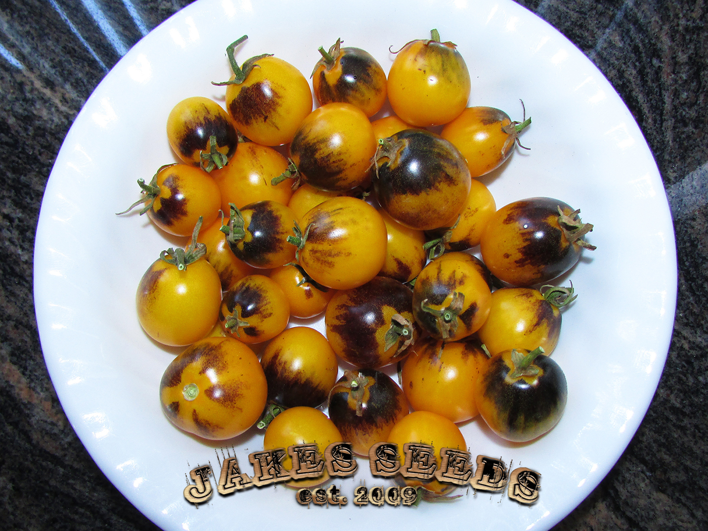 Indigo Sun f4 Indigo Yellow Cherry Tomato Seeds Jake's Seeds