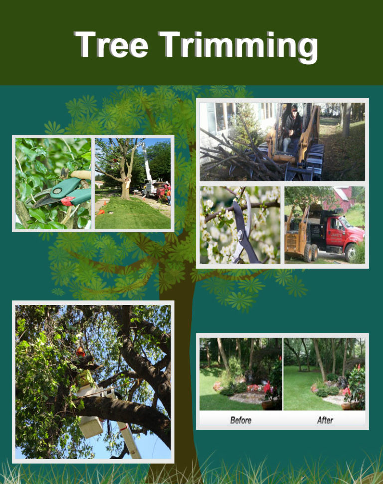 Tree Trimming Columbus Ohio Tree Services Central Ohio