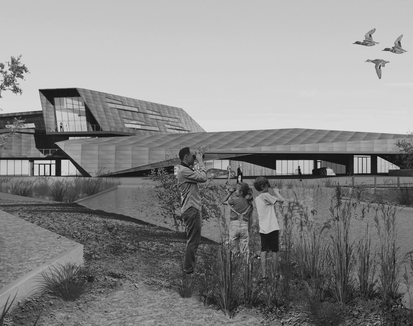 Woodland Elementary JAKUB GALCZYNSKI . Design Service