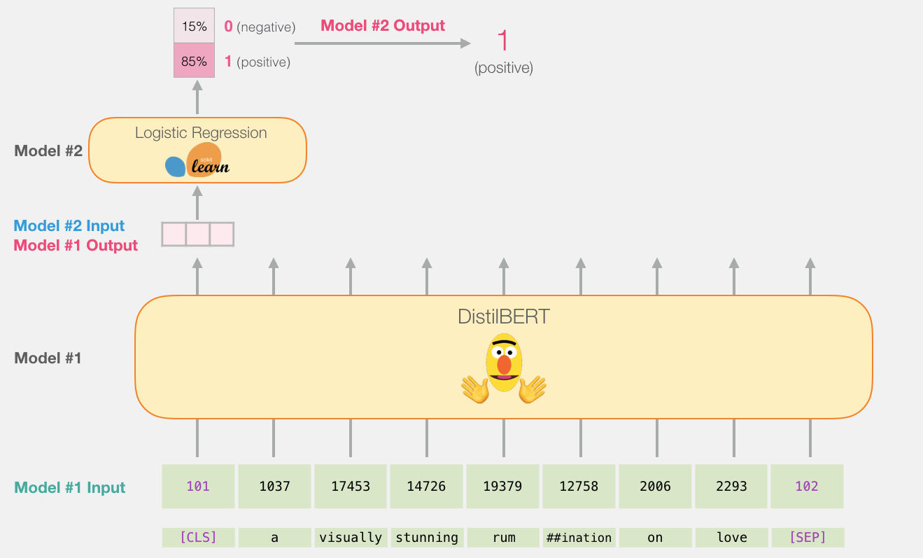 Types Of Bert Models Image to u