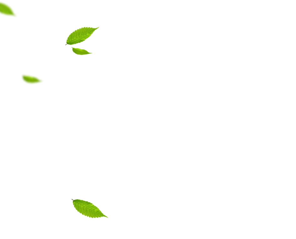 Jalapeno CafeLebanese Restaurant