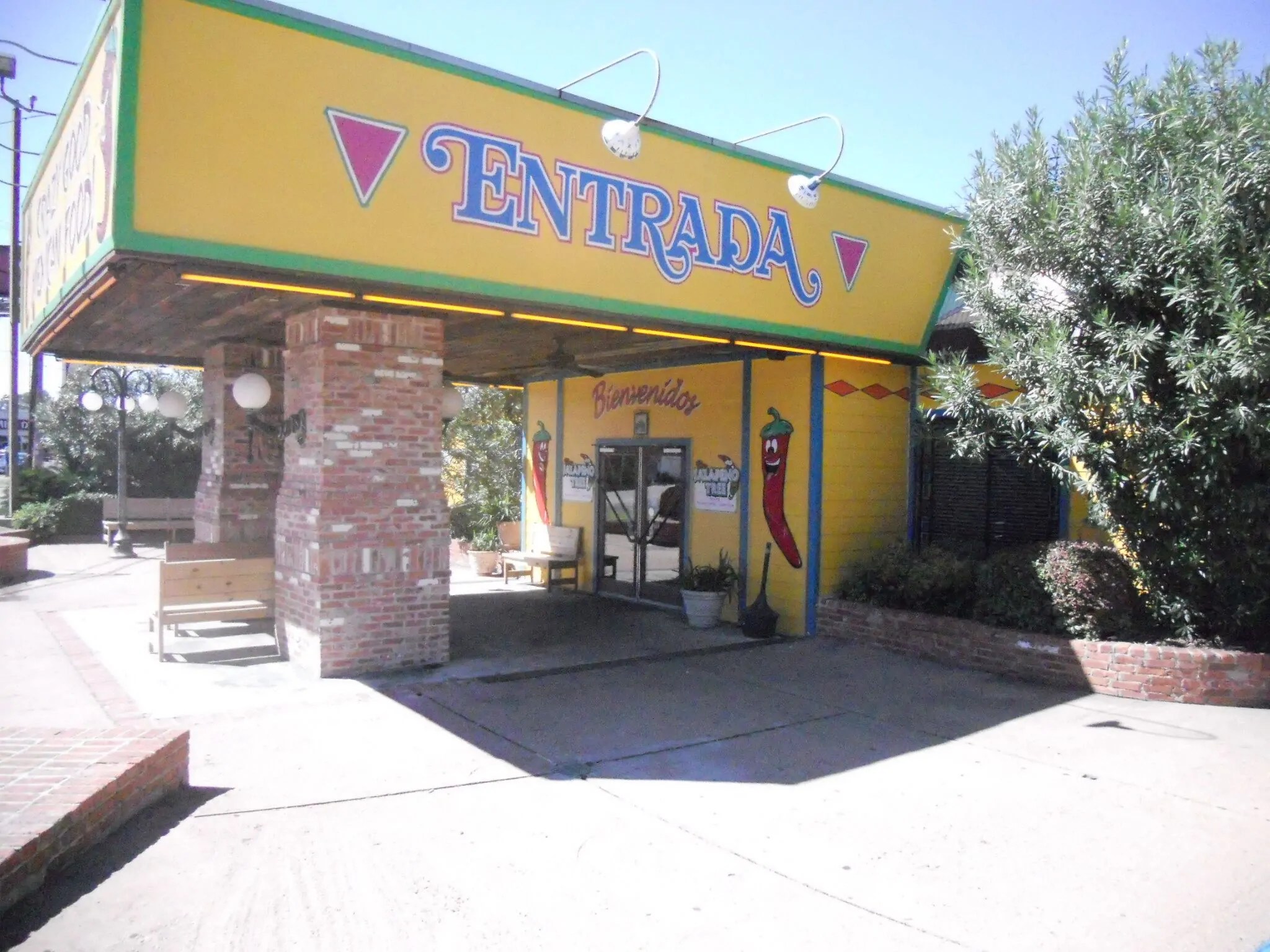 the jalapeno tree kilgore tx You Have Grown Up Record Slideshow