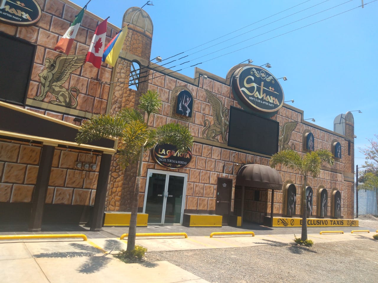 Table dance comienzan a reabrir sus puertas en Puerto Vallarta