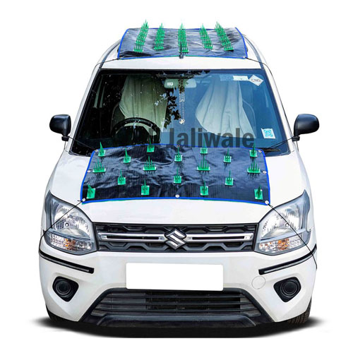 Car protection Cover from Dog and Monkeys