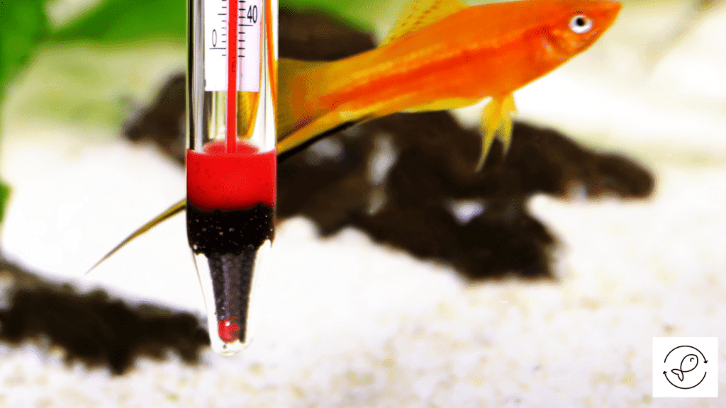 Do Aquarium Thermometers Contain Mercury? (How To Find Out?)