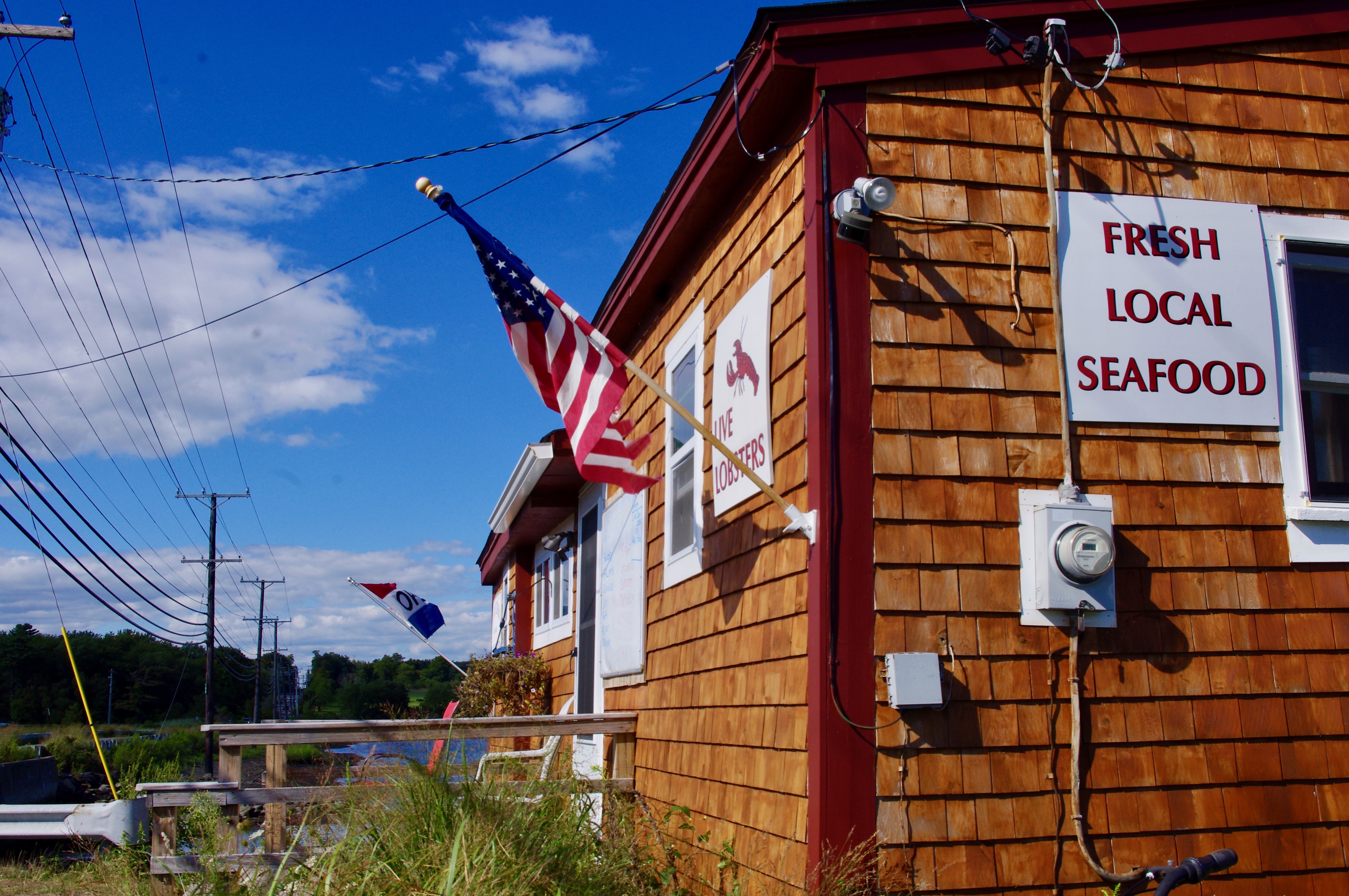 4th Coming Jalsails's Blog