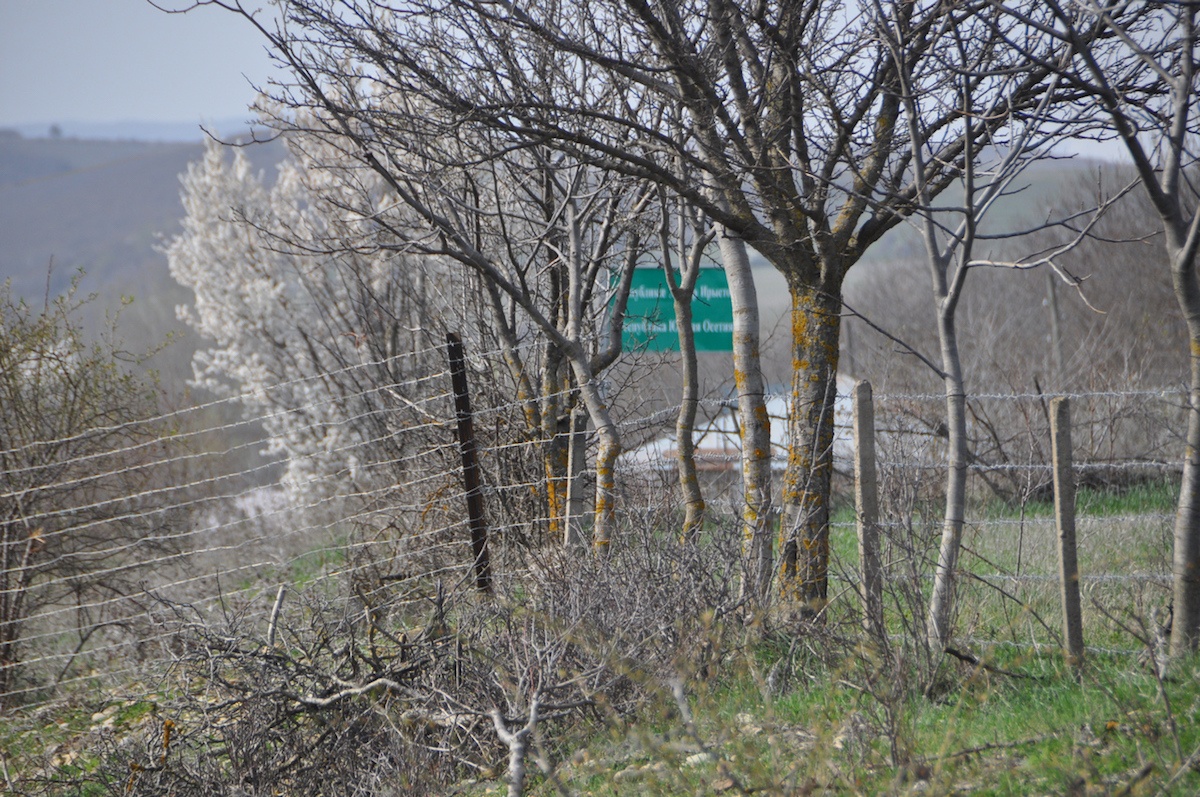 citizen detained in South Ossetia, JAMNews