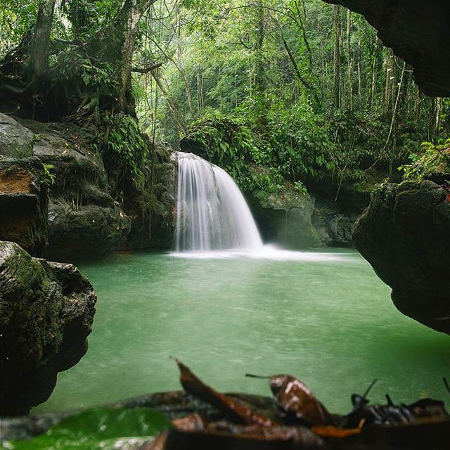 White River Valley, Breadnut Valley Falls, Frenchman's Cove This Week