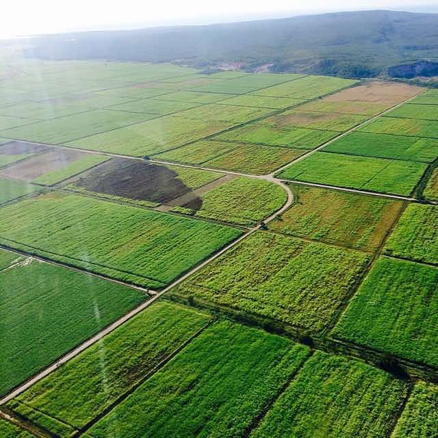 National Stadium, Beautiful Farm Lands, Panoramic view of Westend