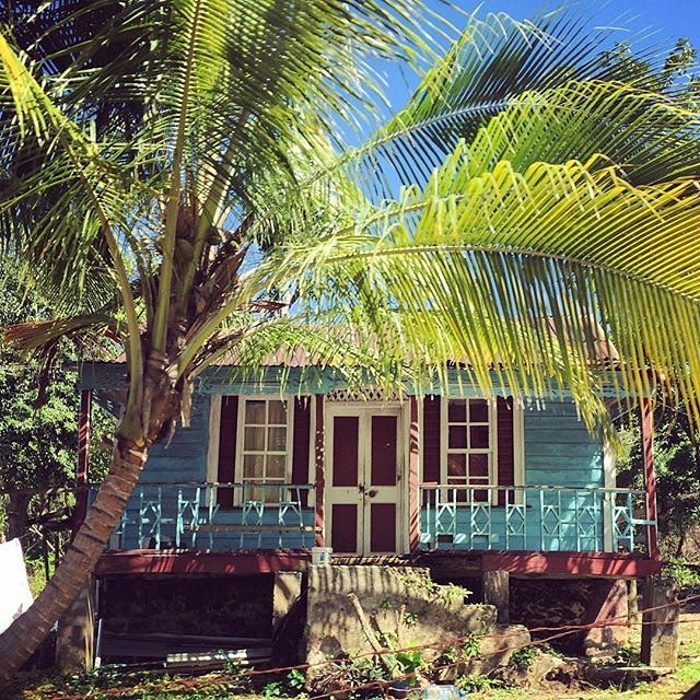 Country Life Cottage, Reggae Falls Hillside, Bog Walk This Week’s Picks for Best Jamaica
