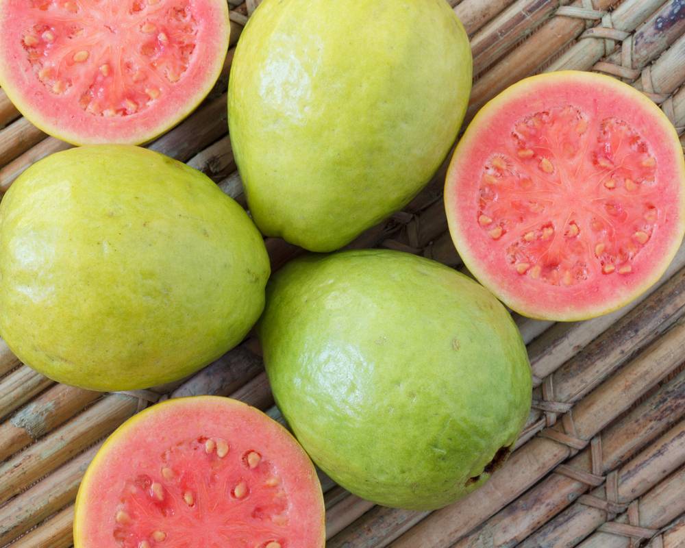 Exploring Jamaican Food Guava