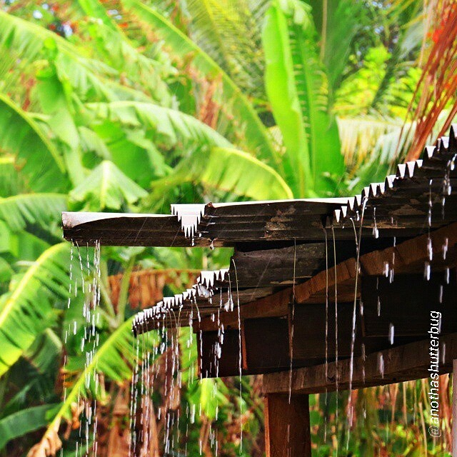 Rain Fall on Zinc Roof, Golden Eye Oracabessa, The Blue Mountain