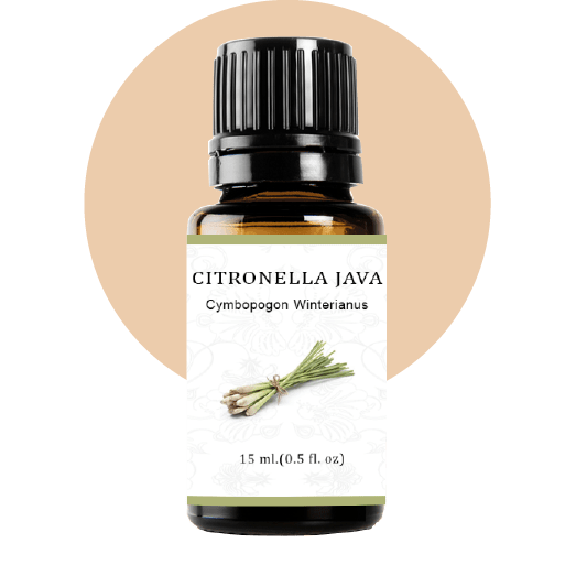 Citronella Java Essential Oil Jam Wellness