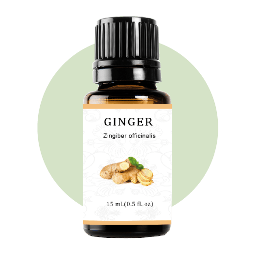 Ginger Essential Oil Jam Wellness