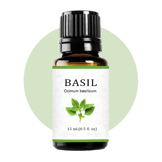Basil Essential Oil Jam Wellness